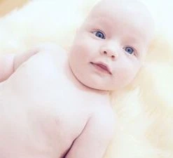 Nordlys Minivognpose Lammeskinn Uklippet, Svart/Hvit 19 Nordlys Minivognpose Lammeskinn Uklippet, Svart/Hvit -jollyroom Salg 341380